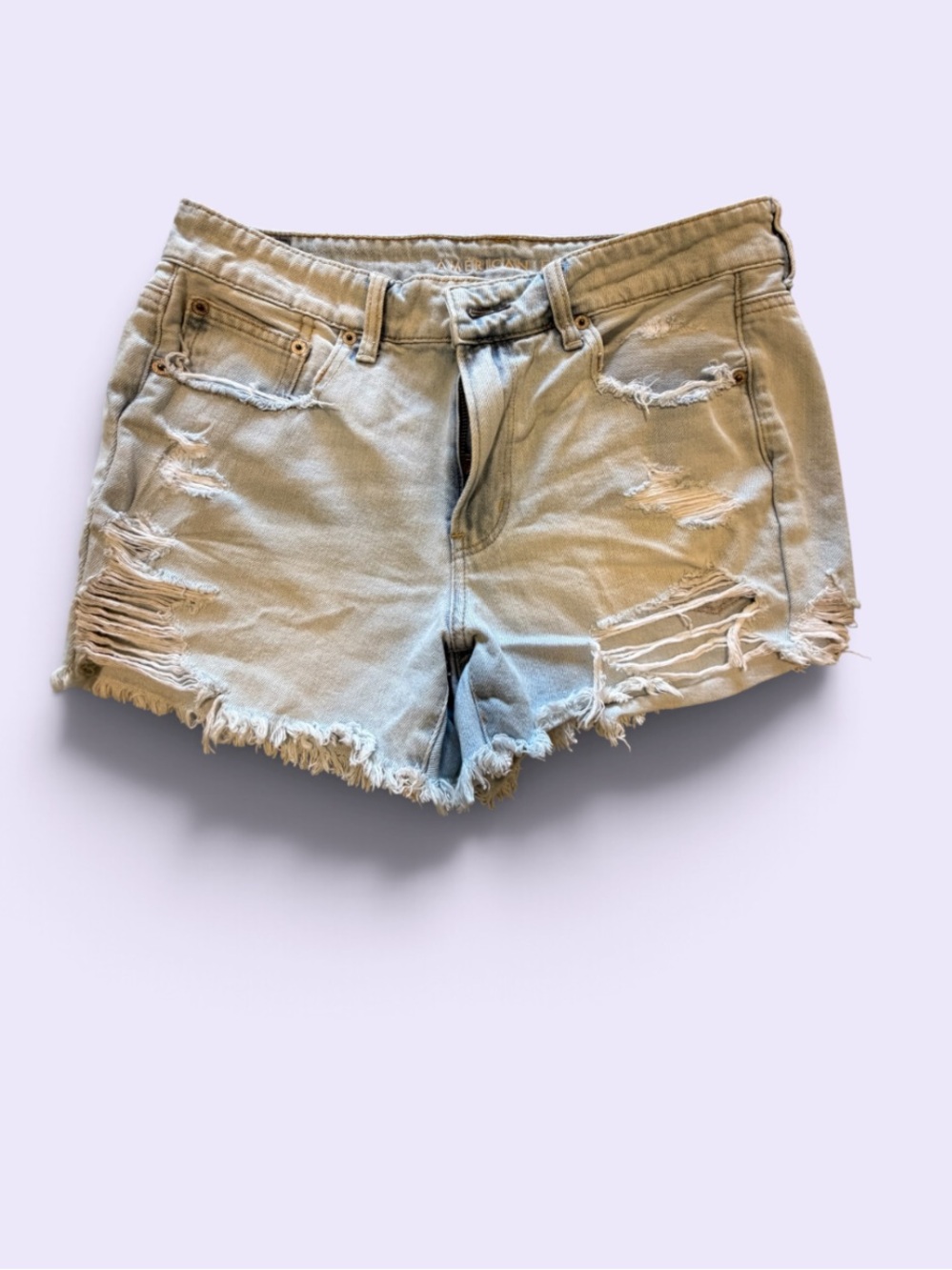 American Eagle Outfitters Light Blue Distressed Denim Shorts